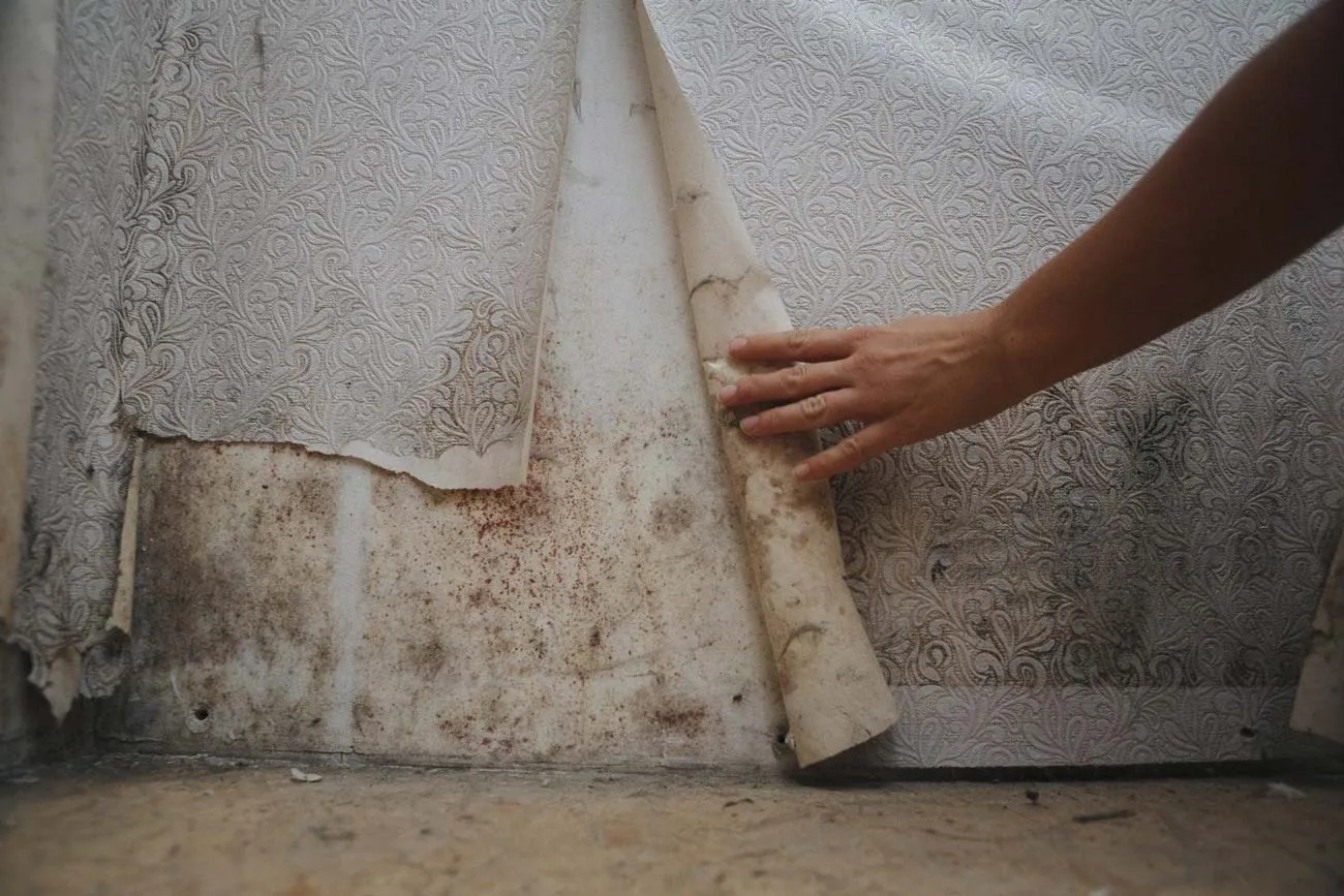 Mold damage