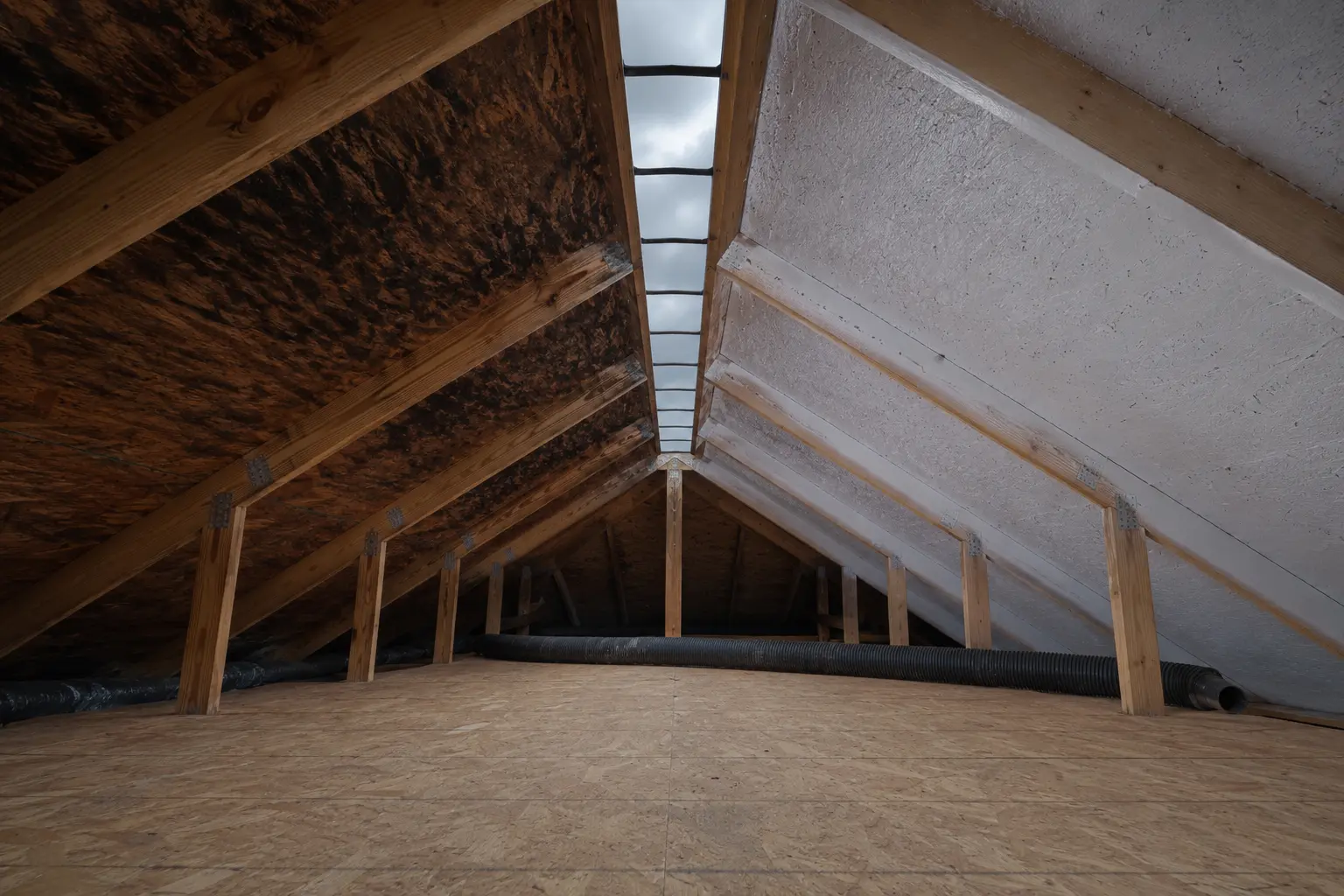 Attic Mold Remediation